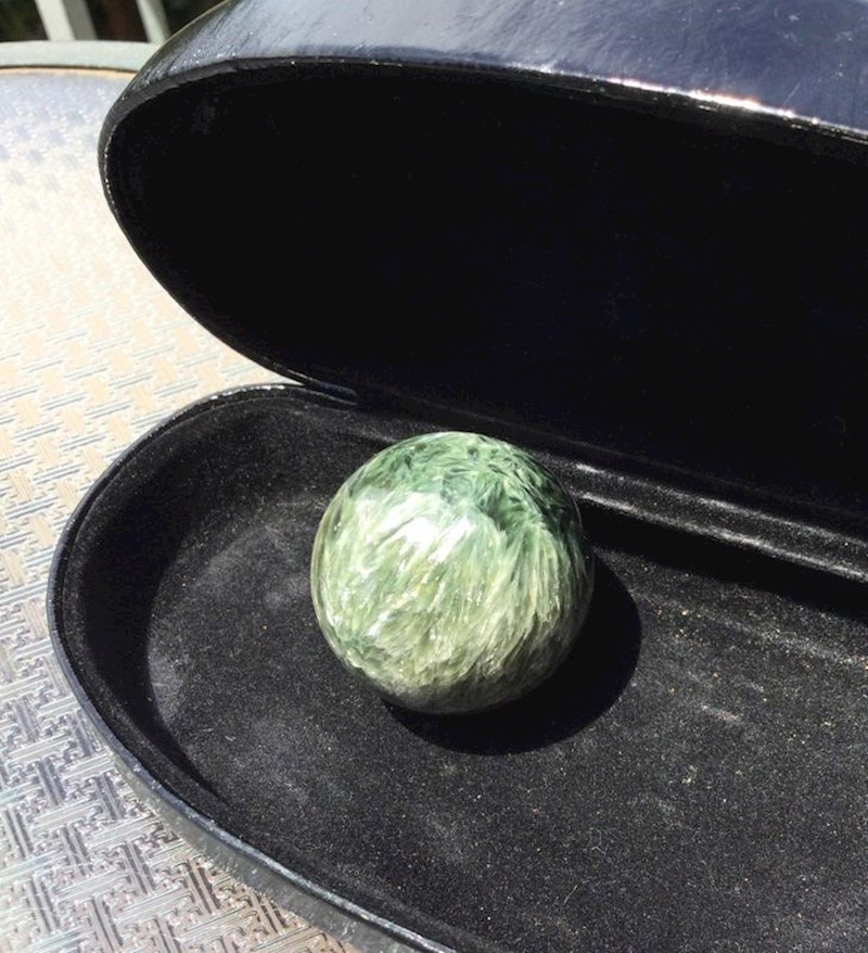 8. Pikula izgleda kao prokulica