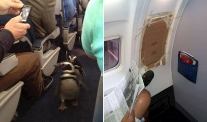 15 čudnih situacija koje su ljudi doživjeli tijekom putovanja avionom