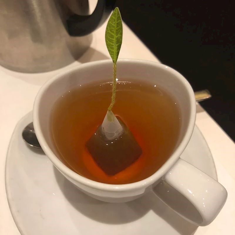 8. Ova vrećica za čaj nam svima treba😍