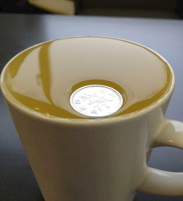 8.Ovaj Japanski novčić je toliko lagan da niti ne probija površinsku napetost vode!