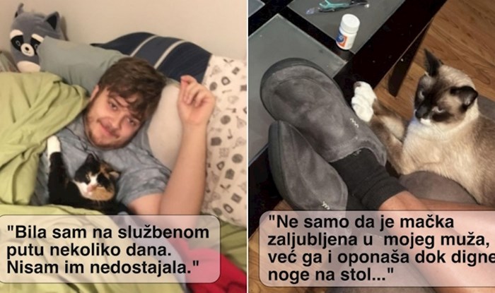 20+ puta kad su mačke uspjele ukrasti partnere svojim vlasnicama
