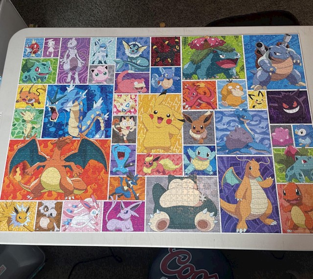 11. Moj sin izgubio je zadnji dio Pokemon slagalice