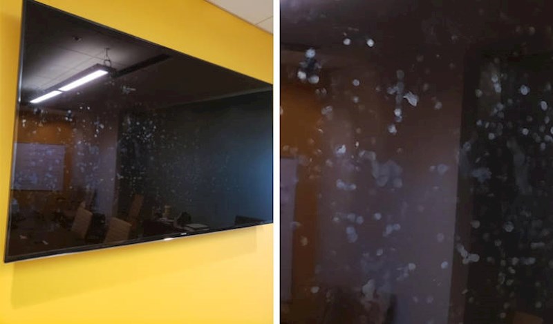 "Moj šef jednostavno ne može održati prezentaciju a da ne takne ekran prstima."