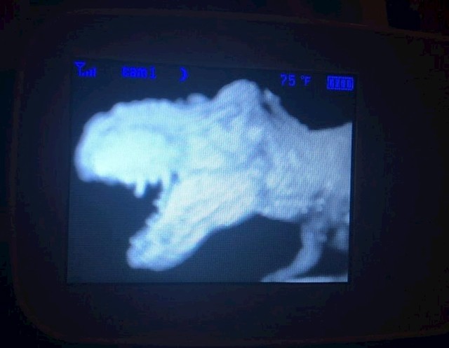 3. Naš sin mislio je da bi bilo jako smiješno staviti ovu igračku ispred baby monitora...