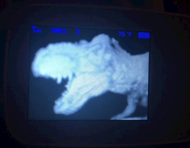 3. Naš sin mislio je da bi bilo jako smiješno staviti ovu igračku ispred baby monitora...