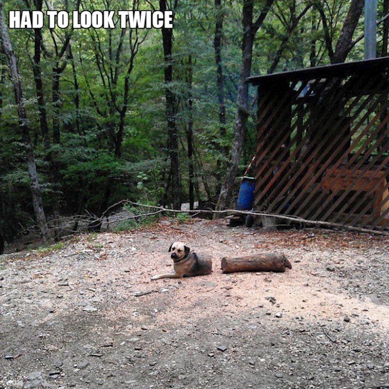 1. Morao je dvaput provjeriti da se uvjeri da je peso OK