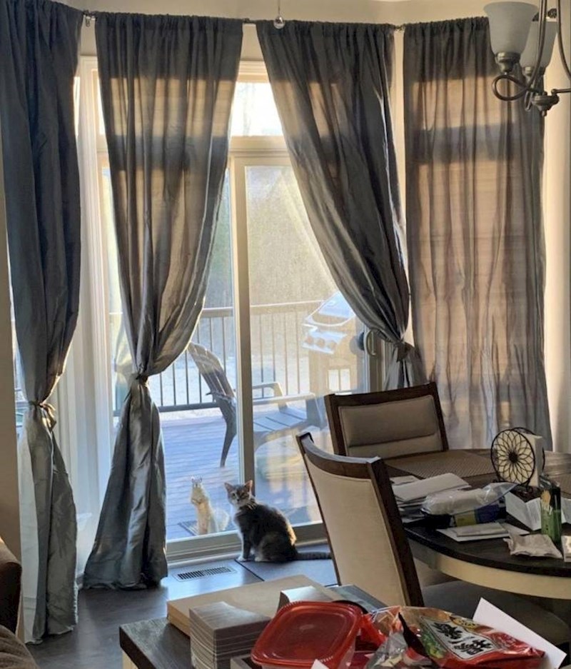 ...s divljom vjevericom. :)