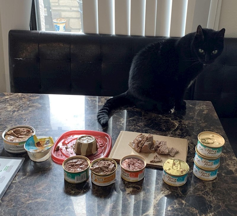 4. Vlasnik joj je kupio zalihu omiljene hrane, ali ona se predomislila i odlučila da joj se više ne sviđa.