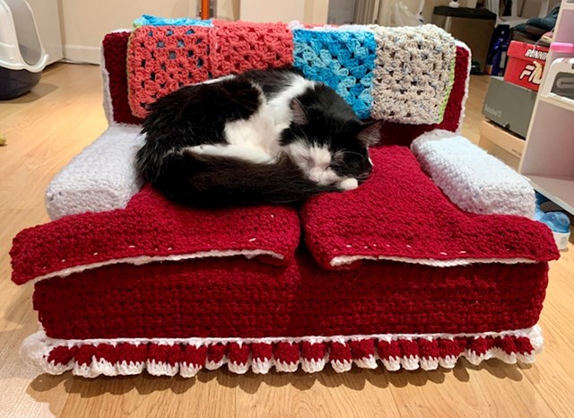 10. "Krevetić koji je moja mama napravila za mačku."