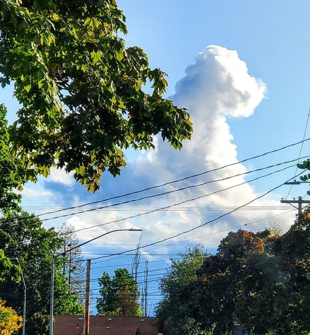 13. Oblak u obliku psa