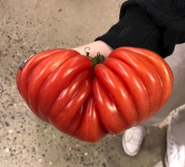 11. Zanimljiva rajčica koju sam uzgojila