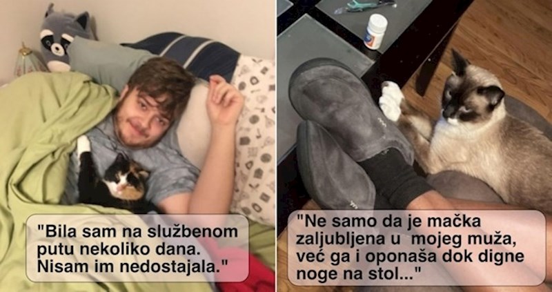 20+ puta kad su mačke uspjele ukrasti partnere svojim vlasnicama