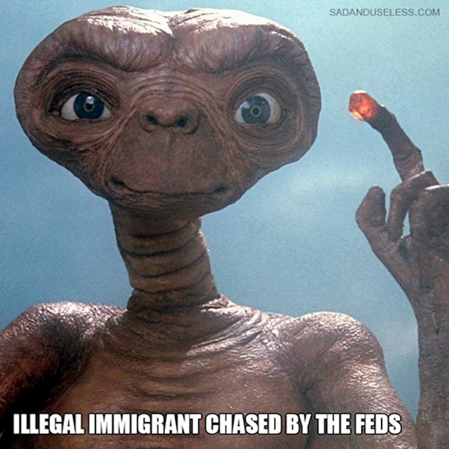 8. Federalci love ilegalnog imigranta.