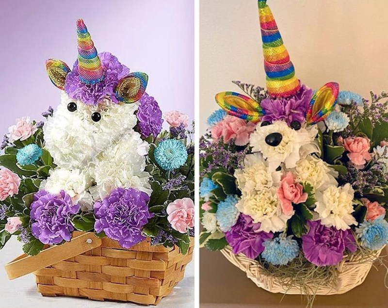 19. Jednorog kojeg smo naručili i jednorog kojeg smo dobili