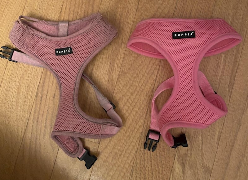 15. Stara i nova oprsnica za psa