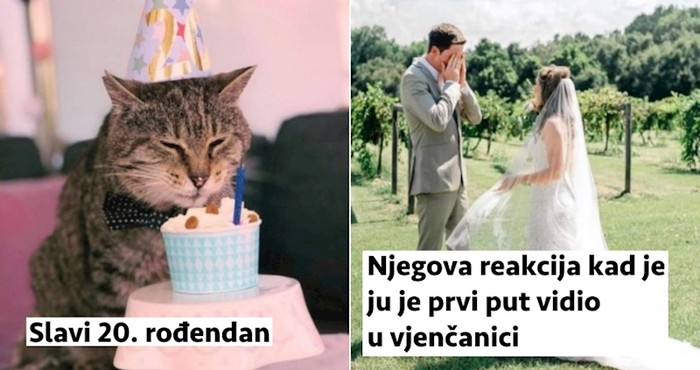 19 veselih fotki za sve ljude kojima hitno treba jedan osmjeh