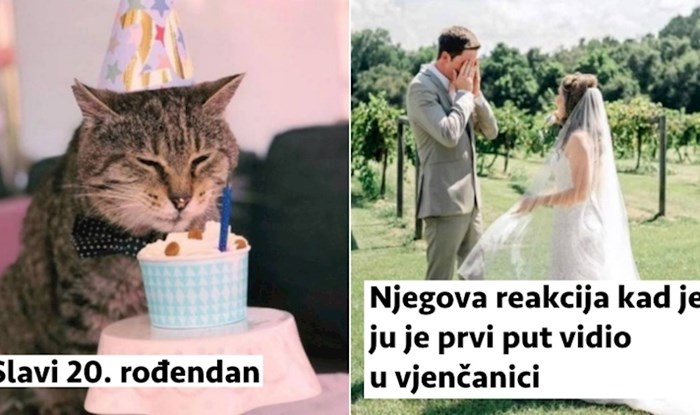 19 veselih fotki za sve ljude kojima hitno treba jedan osmjeh