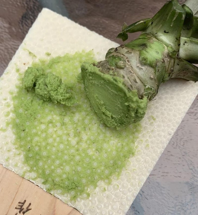 7. Ovako zapravo izgleda wasabi!