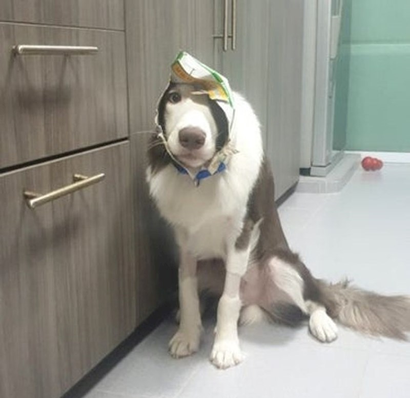 11. Malo se ozlijedio...