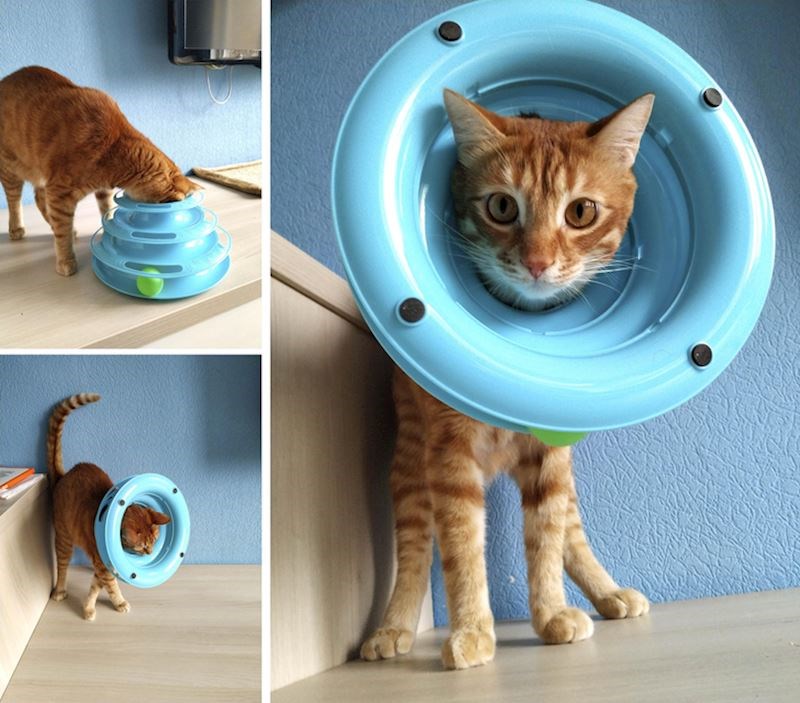 16. Zaglavila je.😆