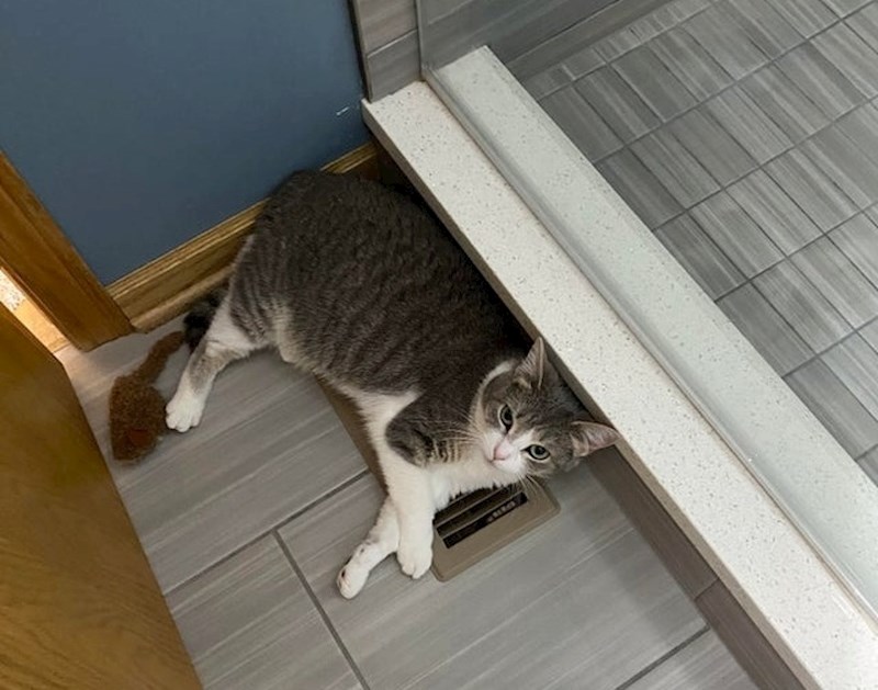 "Legla je na ventilaciju od grijanja da joj bude još toplije."