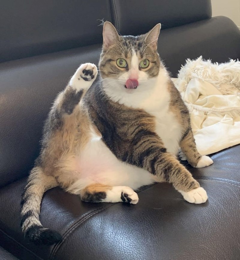 14. "Ja mislim da mora na dijetu, ali ona se ne slaže..."