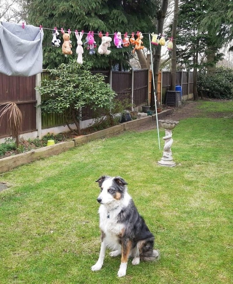 8. Čeka da joj se osuše plišanci...