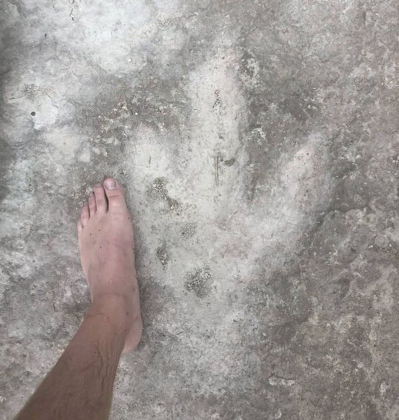 5. Na ovaj trag stopala dinosaura netko je naišao tijekom pecanja u Texasu