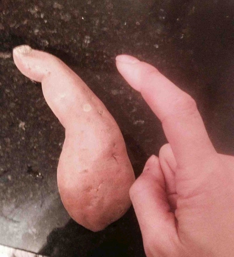 12. Batat koji izgleda kao prst