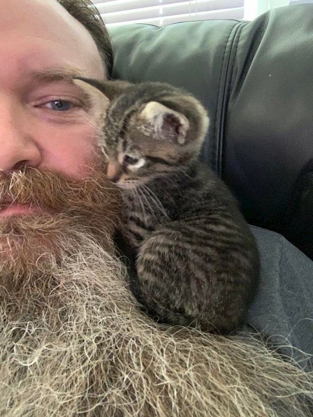 2. Ovaj mačić najviše se voli igrati s njegovom bradom. Za razliku od njegove supruge.