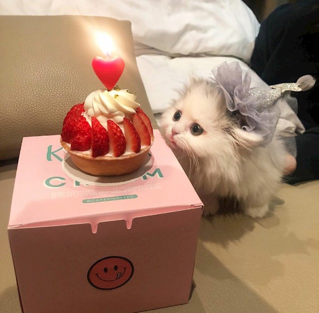 18.