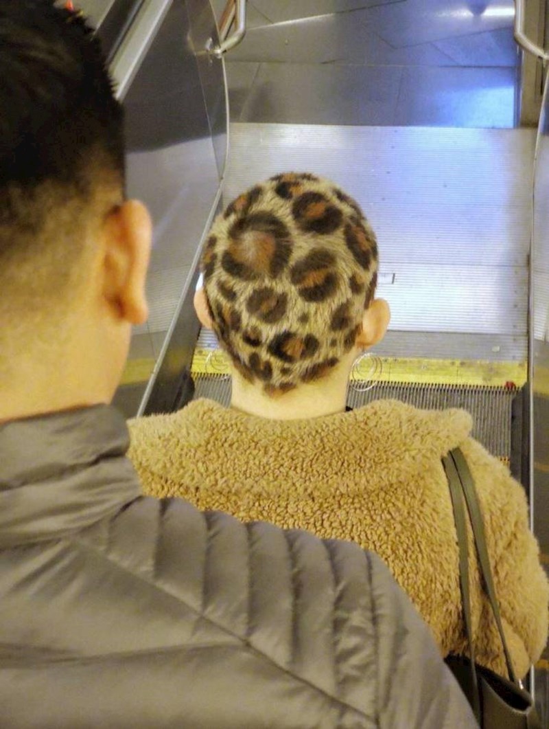 Ovakva frizura definitivno se ne viđa svaki dan...