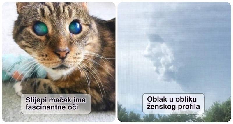 19 moćnih fotografija koje bi vas mogle hipnotizirati