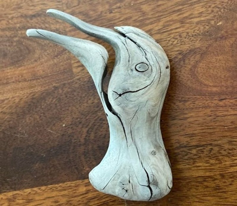 7. Komad drveta koji izgleda kao galeb.