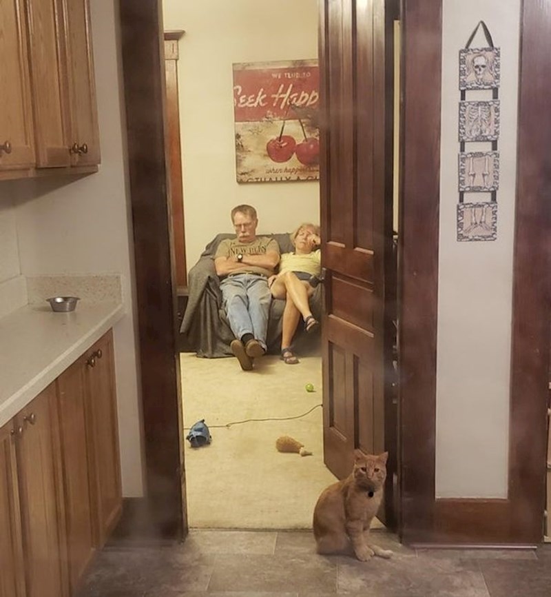 2. "Roditelji su mi došli u posjetu na tjedan dana. Jednu večer radio sam do kasno, a oni su me ipak odlučili pričekati. Ovaj me prizor dočekao kad sam ušao u stan."🥰