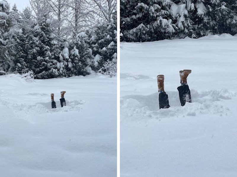 13. "Moja sestra je zapela u snijegu."