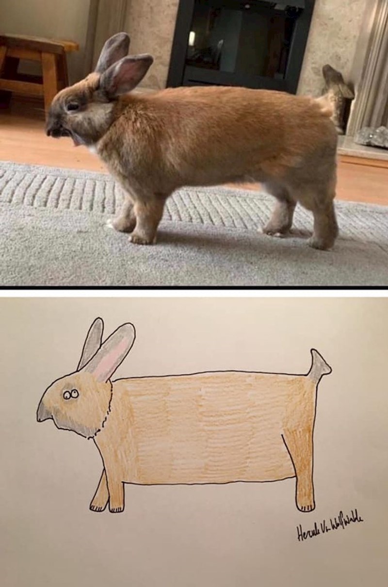 5. Carol Flooredaman