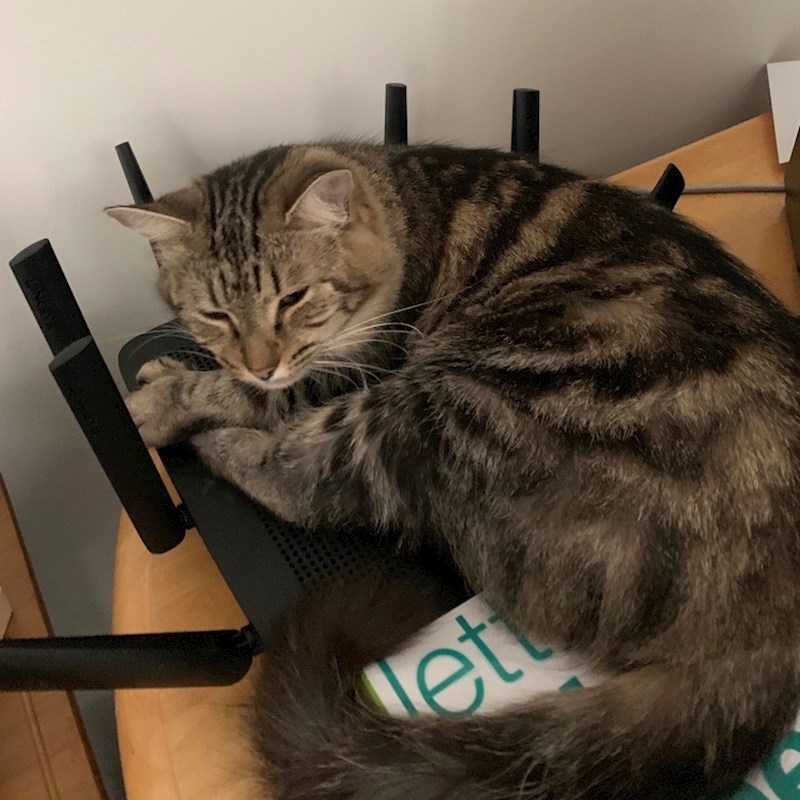 10. "WiFi ti neće raditi neko vrijeme jer je meni hladno."