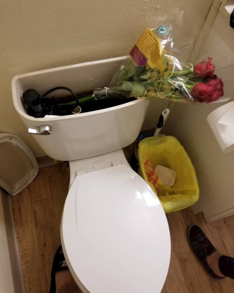 "Moj tata misli da je vodokotlić super vaza."