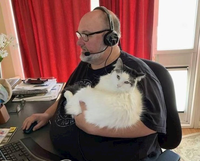 17. Moj tata i mačka koju nije htio i koja je sad njegova glavna zanimacija