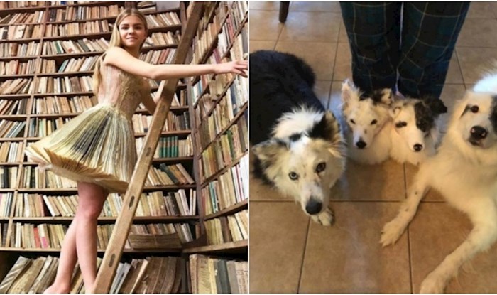 17 prilično čudnih, ali opet jako kreativnih stvari
