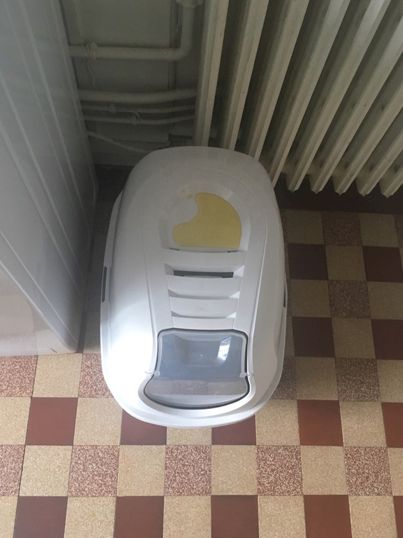 20. "Evo gdje je moja mačka odlučila piškiti."