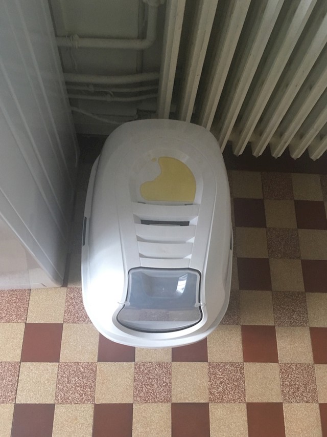 20. "Evo gdje je moja mačka odlučila piškiti."