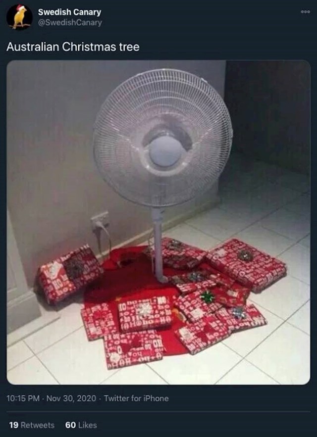 10. Božićno drvce u Australiji