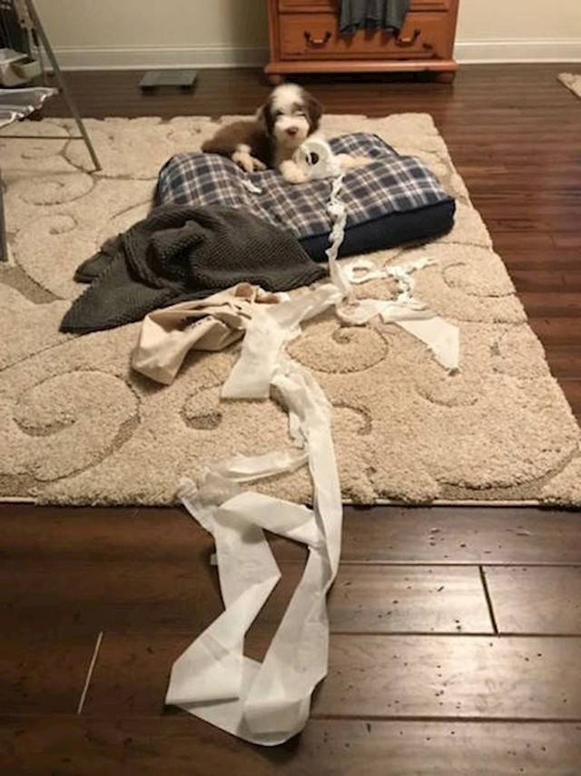 14.