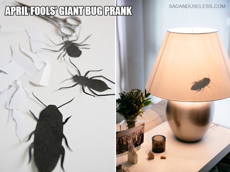 2. Za sve ljubitelje kukaca...