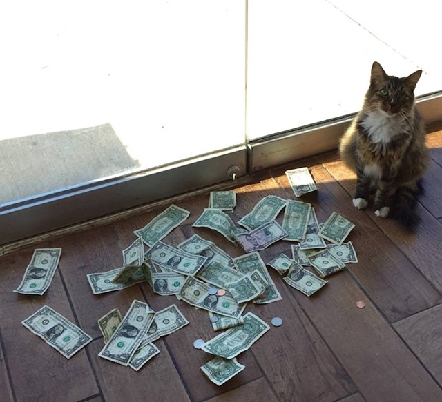 3.