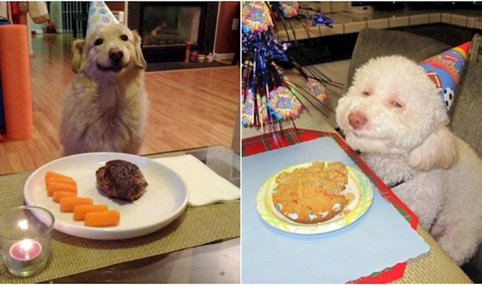 20+ puta kad su vlasnici usrećili svoje pse proslavom njihovih rođendana