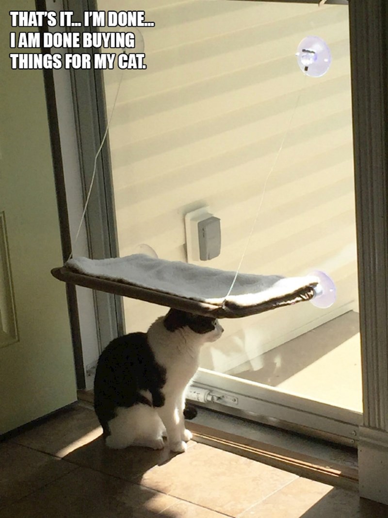 13. Ovo je jednostavno previše. Više nikad neću kupiti ništa svojoj mački!