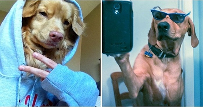18 psećih selfija koji će vam odmah izmamiti osmijeh na lice